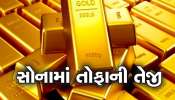 Gold on Record High: નવા હાઈ પર પહોંચ્યું સોનું, ભાવ જાણીને ધ્રુજારી છૂટી જશે, અમદાવાદમાં શું છે સોનાનો ભાવ? જાણો લેટેસ્ટ રેટ