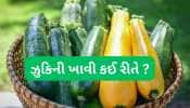 Zucchini: ઝુકિની કાકડી જેવી દેખાય પણ કાકડીની જેમ ન ખવાય, આ 4 રીતે ખાઈ શકો છો ઝુકિની