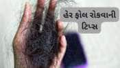 Hair Fall Tips: પ્રેગ્નન્સી પછી ખરતા વાળથી પરેશાન છો ? આજથી વાપરવા લાગો આ આયુર્વેદિક વસ્તુ,અટકી જશે હેર ફોલ