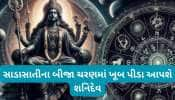 Shani Sade Sati: 29 માર્ચથી આ રાશિની સાડાસાતી શરુ થશે, શનિ જીવનમાં હાહાકાર મચાવશે, શનિને શાંત કરવા અત્યારથી કરો આ કામ