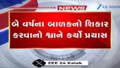 Video: તમારા બાળકને સાચવો...આ જુઓ ખૂંખાર કૂતરાએ કેવી રીતે નાના બાળક પર કર્યો હુમલો
