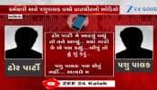 વડોદરામાં ઢોર ન પકડવાનું કૌભાંડ! લોકેશન આપી વસૂલે છે ચાર્જ, વધુ વિગત માટે જુઓ VIDEO