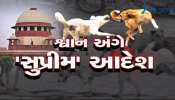 રખડતાં કૂતરાં પર સુપ્રીમ કોર્ટ આકરા પાણીએ, તમામ રાજ્યોને કરાયો આ આદેશ