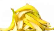 કેળાની છાલ ન ફેંકશો: સોનાથી પણ કિંમતી છે કેળાની છાલ, જલદી જાણીલો આ ફાયદા