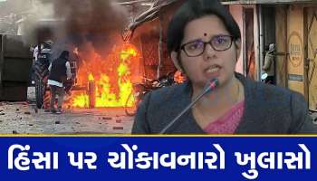 Haldwani Violence: પોલીસકર્મીઓને જીવતા બાળી મૂકવા માટે આવી હતી ભીડ, નૈનીતાલના DM એ શું કહ્યું તે જાણો