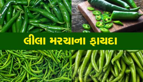 શરીર માટે ખુબ જ ફાયદાકારક છે લીલા મરચા, પરંતુ જાણો એક દિવસમાં કેટલા મરચા ખાવા જોઇએ? શરીર માટે ખુબ જ ફાયદાકારક છે લીલા મરચા, પરંતુ જાણો એક દિવસમાં કેટલા મરચા ખાવા જોઇએ?