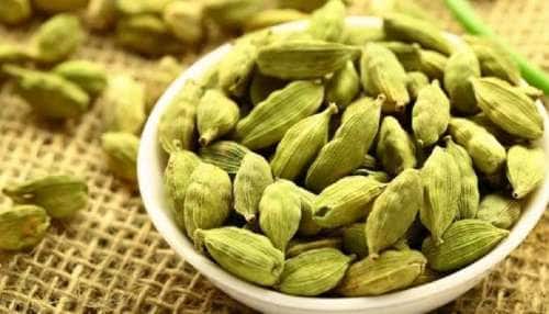 Elaichi Benefits: જમ્યા પછી એક એલચી ખાવાની પાડો ટેવ, આ 5 સમસ્યાઓ થશે દુર |  Health News in Gujarati Get habit of eating a cardamom after meal these 5  health problems will go away
