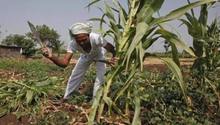 #IndiaKaDNA : કેવી રીતે થશે ખેડૂતોની આવક બમણી? 