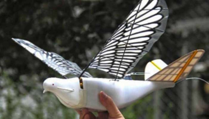 'ચાલાક' ચીને પક્ષી જેવું ડ્રોન બનાવ્યું, હવે ભારતમાં કરશે તાકઝાંક