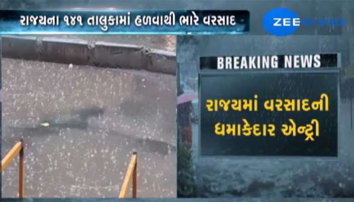 VIDEO:રાજ્યભરમાં મેઘરાજા રિટર્ન્સ, 141 તાલુકામાં હળવાથી ભારે વરસાદ, NDRFની