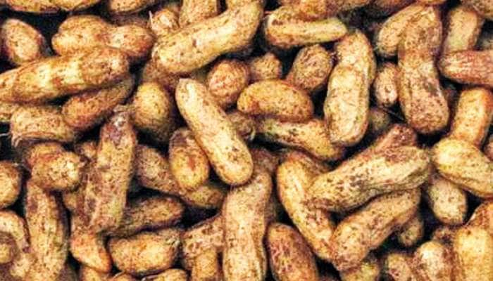 'સરકાર બચાવો મિશન'ના ભાગરૂપે વધુ એક નવું કમિશન: પરેશ ધાનાણી