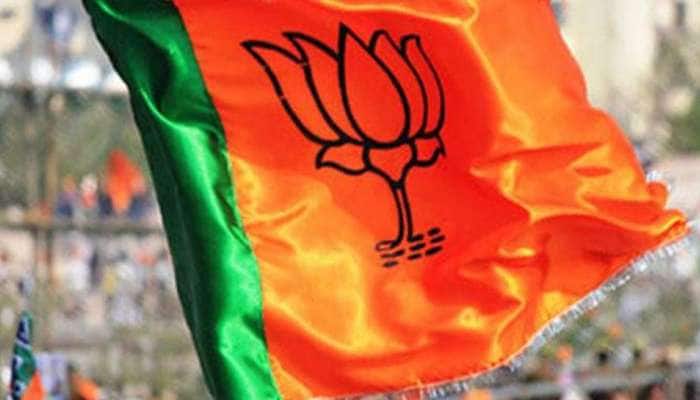 LAHDC કારગિલ ચૂંટણીમાં ભાજપે ખોલાવ્યું ખાતુ, કોઈપણ પાર્ટીને બહુમત નહીં