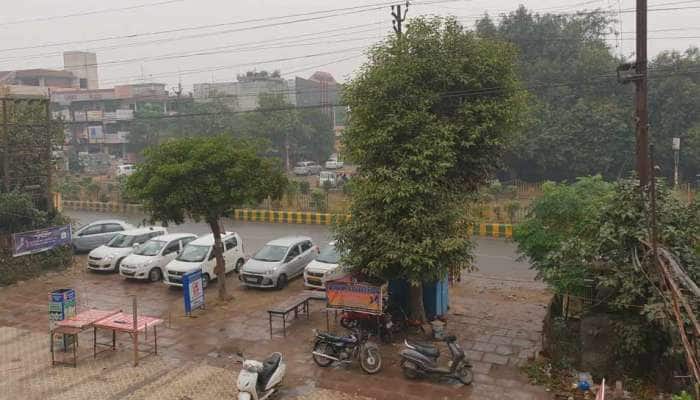 અચાનક વરસાદને કારણે પલટાયું દિલ્હી-NCRનું વાતાવરણ, પ્રદૂષણ ઘટશે, પણ બીજી સ