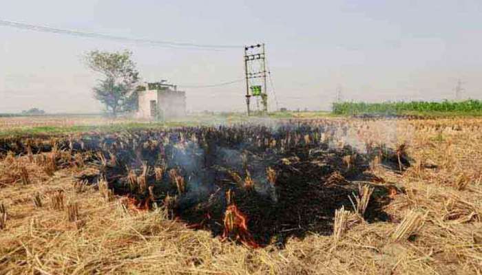 SAFARએ કહ્યું, દિલ્હીના વાયુ પ્રદૂષણમાં ભુસાનો માત્ર 3 ટકા જ હિસ્સો