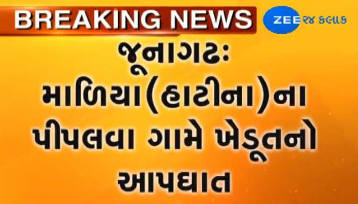 જૂનાગઢના માળીયા (હાટીના)ના પીપલવા ગામે ખેડૂતની આત્મહત્યા જૂનાગઢના માળીયા (હાટીના)ના પીપલવા ગામે ખેડૂતની આત્મહત્યા