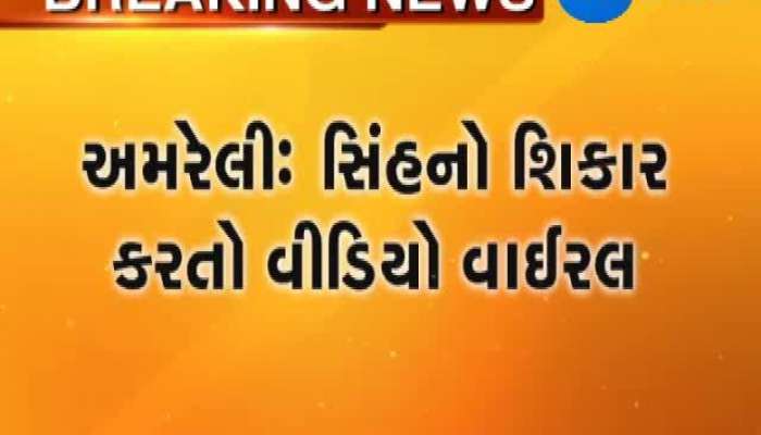 ગામમાં આવીને સિંહે કર્યો શિકાર, જુઓ Video 