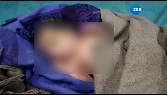 જૂનાગઢ: મરી પરવારી મમતા, કચરા પેટીમાંથી મળી આવ્યું નવજાત શિશુ જૂનાગઢ: મરી પરવારી મમતા, કચરા પેટીમાંથી મળી આવ્યું નવજાત શિશુ