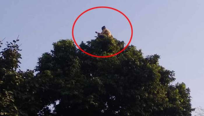 UP: ઝાડની ટોચ પર ચડીને બેસતા આ સાધુને જોવા લાંબી લાઈનો લાગી, પોલીસ પણ ખડેપ