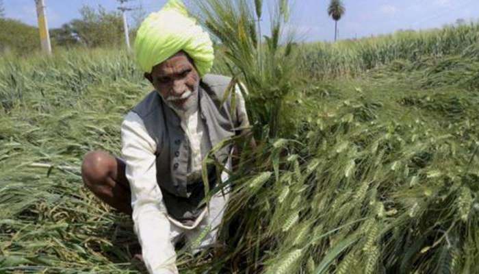 જગતના તાત માટે સારા સમાચાર, ગુજરાત સરકારે લીધો ખેડૂત હિતકારી નિર્ણય 