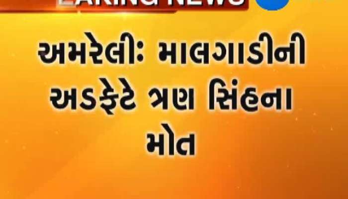 અમરેલી: માલગાડીની અડફેટે આવી જતા 3 સિંહના મોત