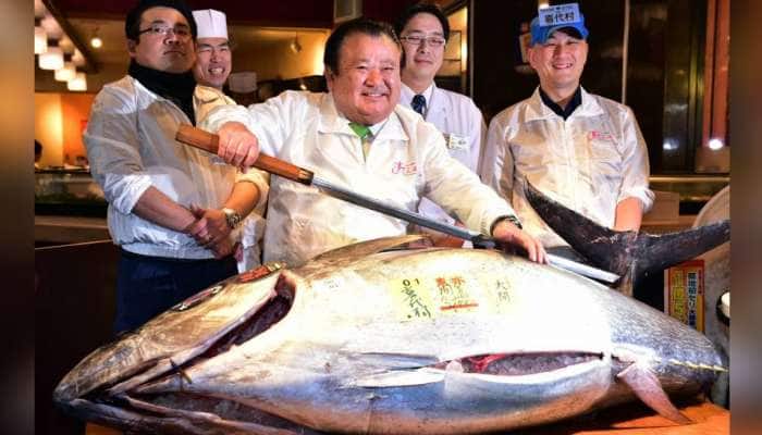જાપાનમાં એક માછલી કરોડોમાં વેચાઈ, ખરીદવા માટે લોકોની રીતસરની પડાપડી 