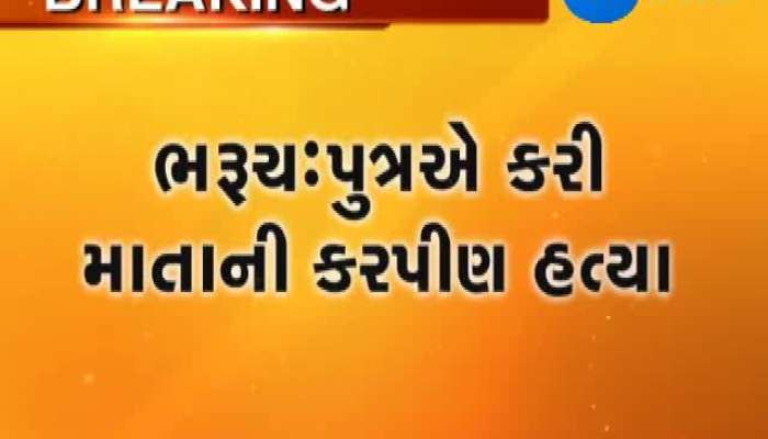 અંકલેશ્વરમાં પુત્રએ નજીવા કારણસર માતાની હત્યા કરી