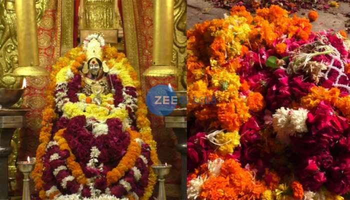 મા બહુચરાજીને અર્પણ થયેલા ફૂલોમાંથી બનશે ખાતર, ખેતરમાં પાકશે સોનારૂપી પાક! મા બહુચરાજીને અર્પણ થયેલા ફૂલોમાંથી બનશે ખાતર, ખેતરમાં પાકશે સોનારૂપી પાક!