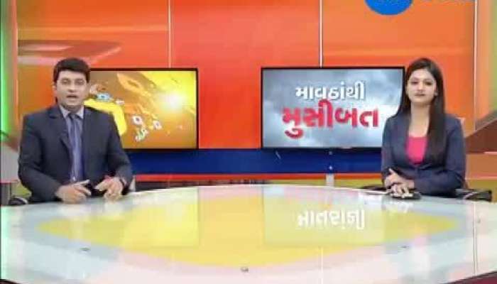 કચ્છ સહિત સૌરાષ્ટ્રમાં કમોસમી માવઠું, ખેડૂતોને મોટુ નુકશાન