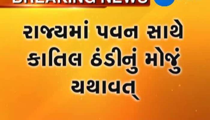 રાજ્યમાં પવન સાથે કાતિલ ઠંડીનું મોજુ યથાવત