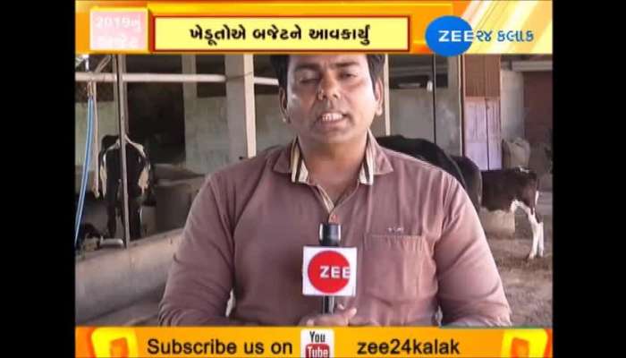 બજેટ 2019: પશુપાલકોને આ બજેટ કેવું લાગ્યું? જાણો