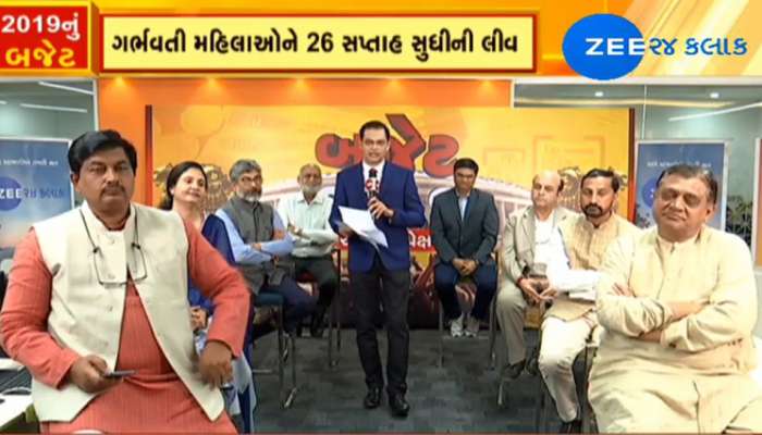 બજેટ 2019: ઝી 24 કલાક સાથેની ચર્ચામાં વિવિધ ક્ષેત્રના નિષ્ણાતોના અભિપ્રાય