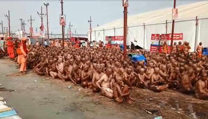 લોખંડના ચણા ચાવવા કરતા પણ અઘરી હોય છે નાગા સાધુ બનવાની પ્રોસેસ લોખંડના ચણા ચાવવા કરતા પણ અઘરી હોય છે નાગા સાધુ બનવાની પ્રોસેસ