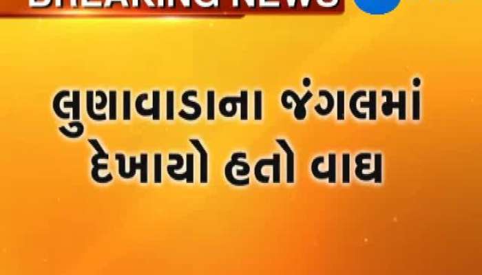 હવે, વાઘ સંતરામપુરમાં દેખાયો 