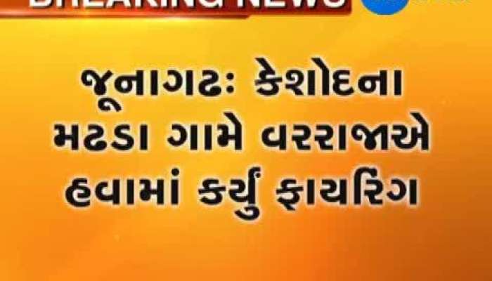 Viral Video : વરરાજાએ ઘોડી પર હવા ધડાધડા ગોળીઓ છોડી