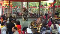 Photos: મહાશિવરાત્રી પર એક સાથે કરો 525 શિવલિંગના દર્શન