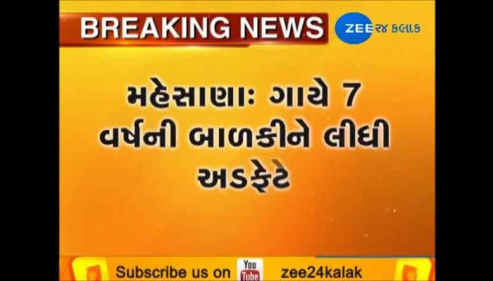 મહેસાણા: ગાયે 7 વર્ષની બાળકીને લીધી અડફેટે