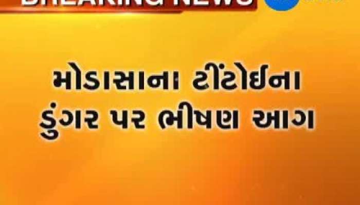 અરવલ્લી: મોડાસાના ટીંટોઈના ડુંગર પર ભીષણ આગ