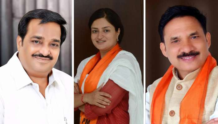 ગુજરાતની 15 લોકસભા બેઠક પર ભાજપના ઉમેદવાર જાહેર, મોટાભાગના રિપિટ 