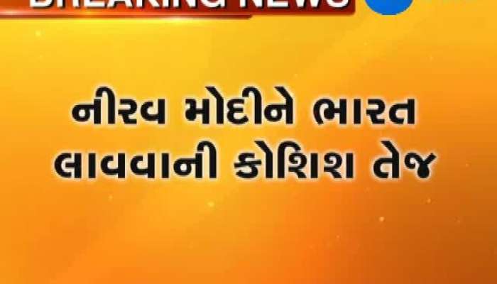 નીરવ મોદીને ભારત લાવવાના પ્રયત્નો તેજ