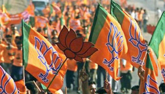 લોકસભા ચૂંટણી 2019: ભાજપનું સંકલ્પ પત્ર આવે તે પહેલા તેમના ચૂંટણી વચનો અહીં જાણો...