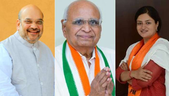 લોકસભા ચૂંટણી 2019: આ છે ગુજરાતના ભાજપ અને કોંગ્રેસના કરોડપતિ ઉમેદવાર