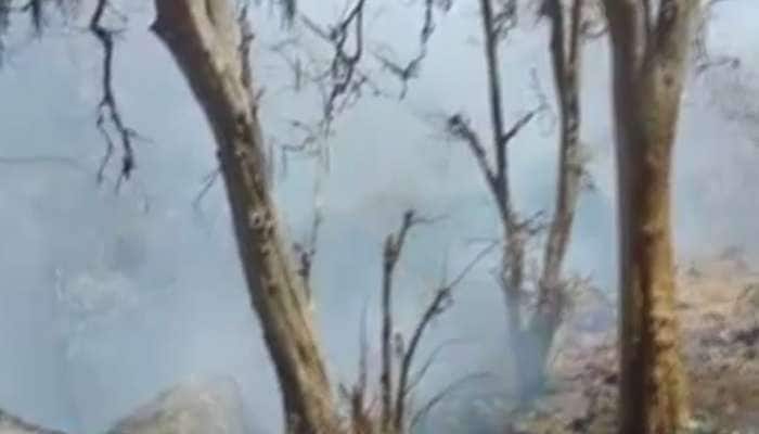 માઉન્ટ આબુના જંગલોમાં લાગી ભીષણ આગ, 2 કિમીસુધીનું જંગલ બળીને ખાખ