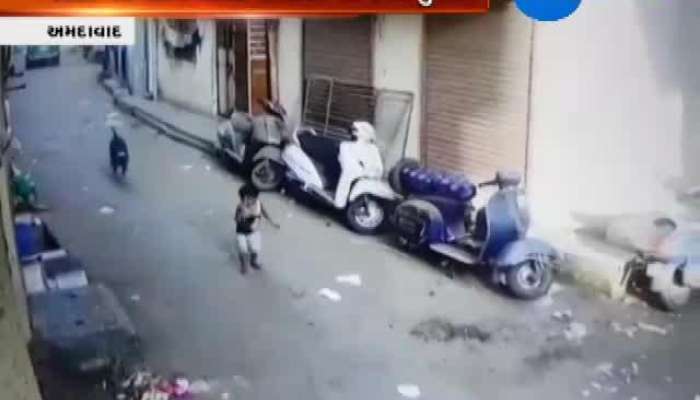 જમાલપુરમાં બે વર્ષના બાળકને કૂતરાએ બચકા ભર્યા, જુઓ CCTV ફૂટેજના દ્વશ્યો