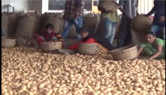 ગુજરાતના બટાકાના ખેડૂતો પર દાવો માંડનાર Pepsico સામે ટ્વિટર પર લોકોનો રોષ 
