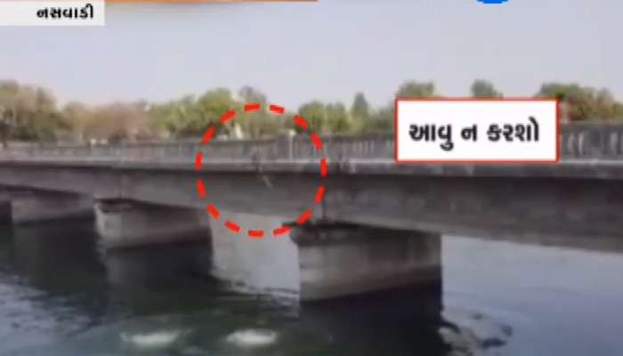Video : કેનાલને બનાવ્યું સ્વીમિંગ પુલ, જોખમી સ્ટંટ કરીને યુવકોએ ડૂબકી લગાવી 
