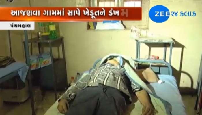 પંચમહાલમાં ખેડૂતે સાપને બચકા ભરતા બંન્નેના મોત