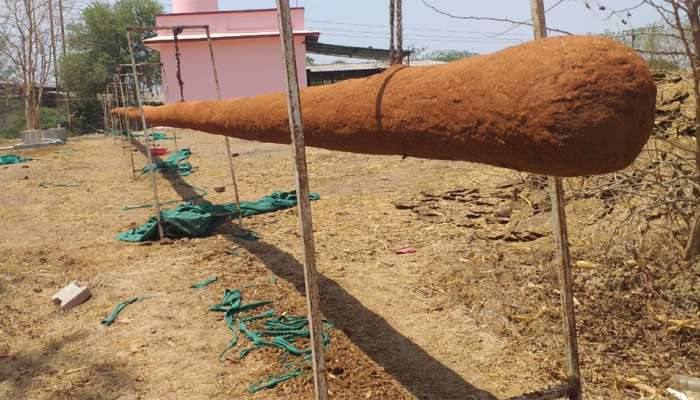 ગુજરાતના આ ગોપાલકે બનાવી સૌથી મોટી 125 ફૂટની લાંબી અગરબત્તી