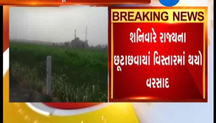 ફાની વાવાઝોડાની ગુજરાતમાં આ રીતે થઈ અસર, આટલું થયું નુકસાન