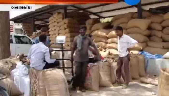 Bajari Price Hike Due To Low Production
