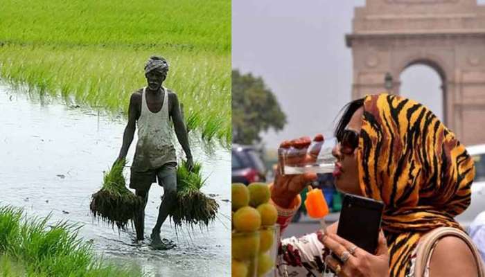 ભીષણ ગરમીમાંથી મળશે છુટકારો, આ તારીખ દરમિયાન પડશે વરસાદ